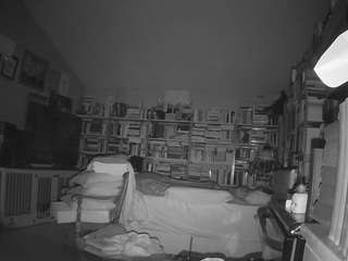 voyeurcam bridgetleewalters 02